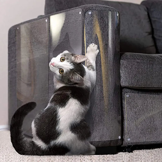 Protector de gato